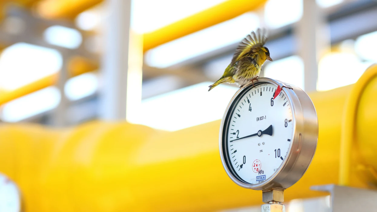 ДТЕК Нафтогаз сплатив більше 2,2 млрд грн податків за І квартал цього року