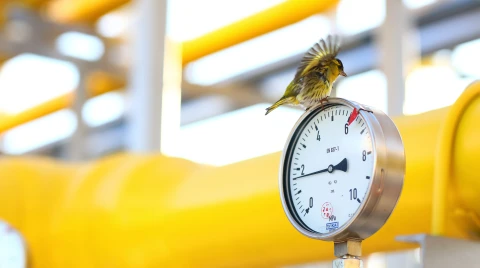 ДТЕК Нафтогаз сплатив більше 2,2 млрд грн податків за І квартал цього року