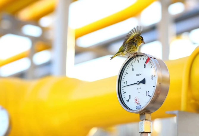 ДТЕК Нафтогаз сплатив більше 2,2 млрд грн податків за І квартал цього року